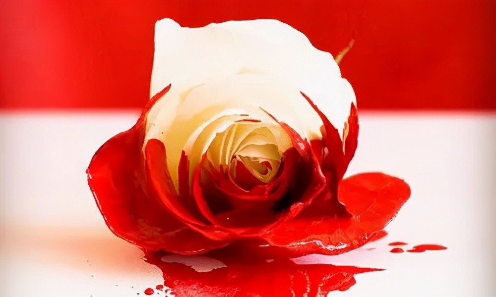 3.8妇女节送花应该怎么送,妇女节送花