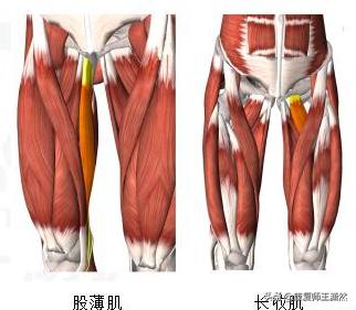 库里腹股沟拉伤,腹股沟拉伤nba休息多久