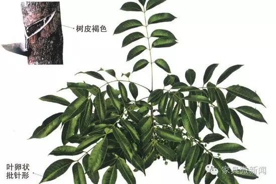 涂料100种常识,涂料常见知识