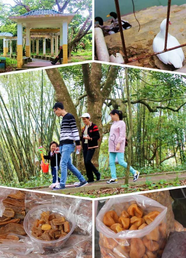 广州自驾团队,广州团队定制旅游