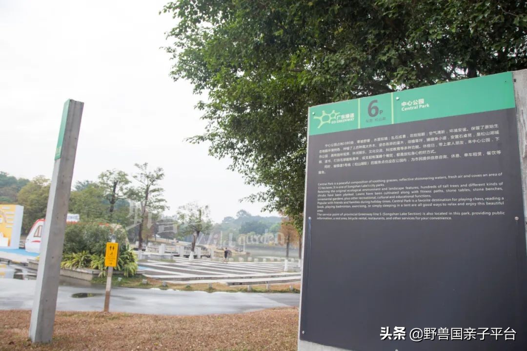 松山湖风景区松湖烟雨是哪个门,松山湖景区松湖烟雨有哪些好玩的