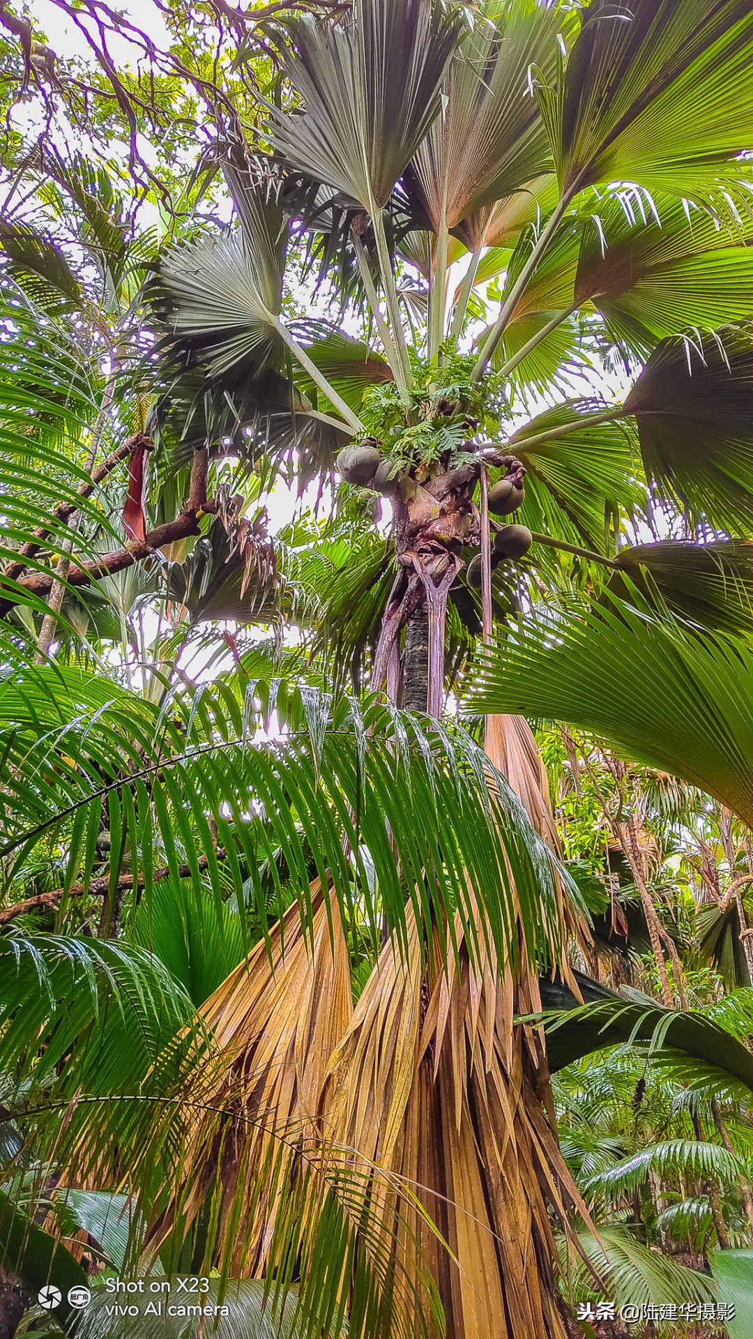 塞舌尔最值得去的岛屿,塞舌尔伊甸园在哪里