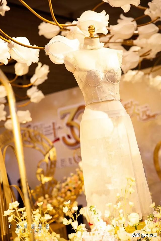 美思集团有限公司,美思集团辉煌30周年庆典