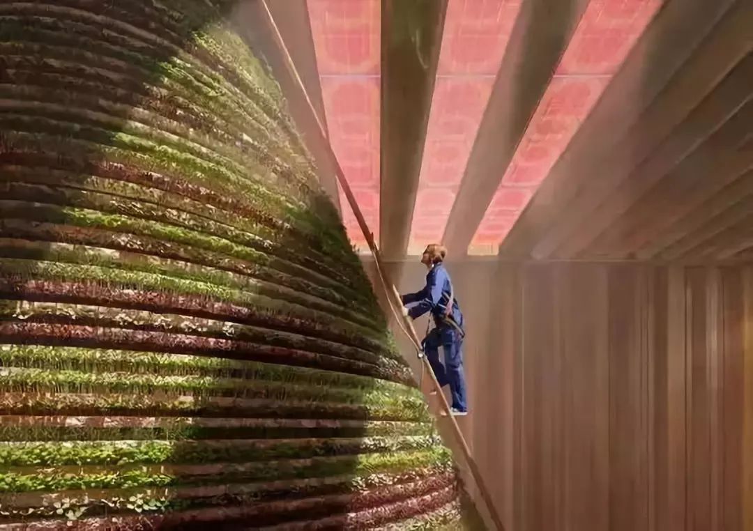 迪拜展馆设计,迪拜世博会40个展馆梦幻设计