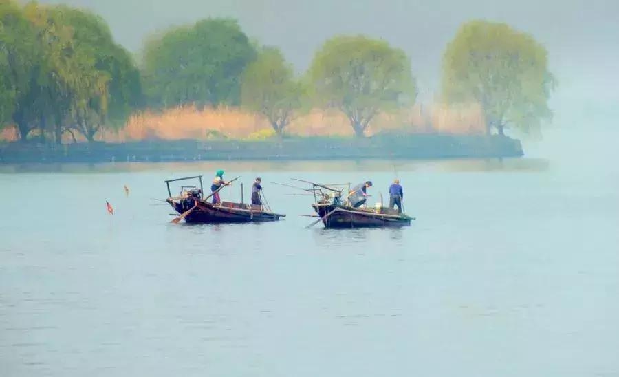 上海最大的人工湖滴水湖碧水蓝天,上海最大的淡水湖