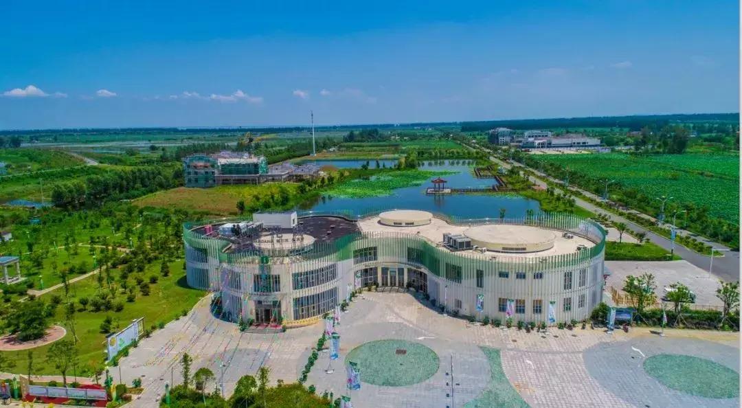 金湖荷花荡图片,金湖荷花荡介绍