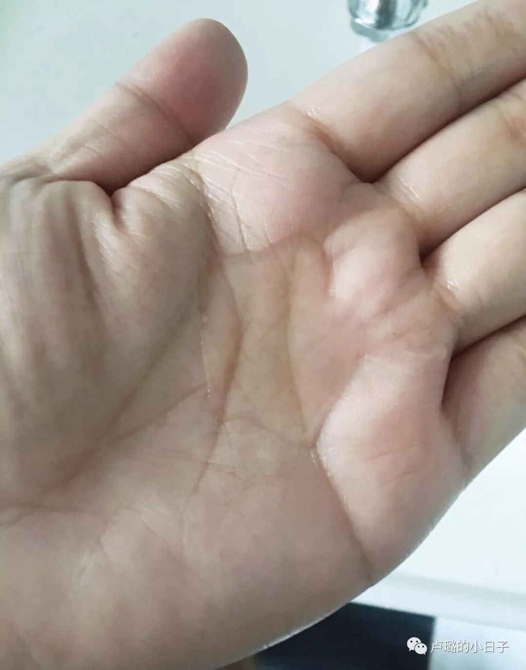 可以拯救发际线的洗发水推荐,拯救干枯毛躁和去屑的平价洗发水