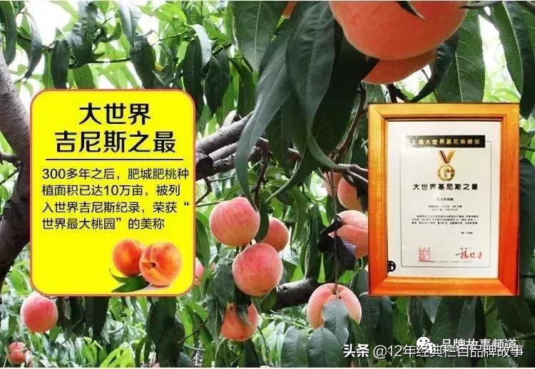 *安泰**市工商局:立足”5S“服务,弘扬挑山工精神