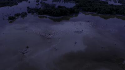 豆瓣netflix电影,bbc地球奇观纪录片