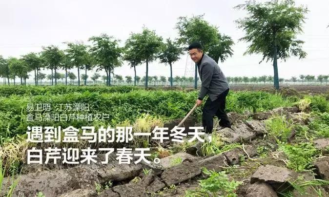 盒马10年增长多少亿,盒马发家史