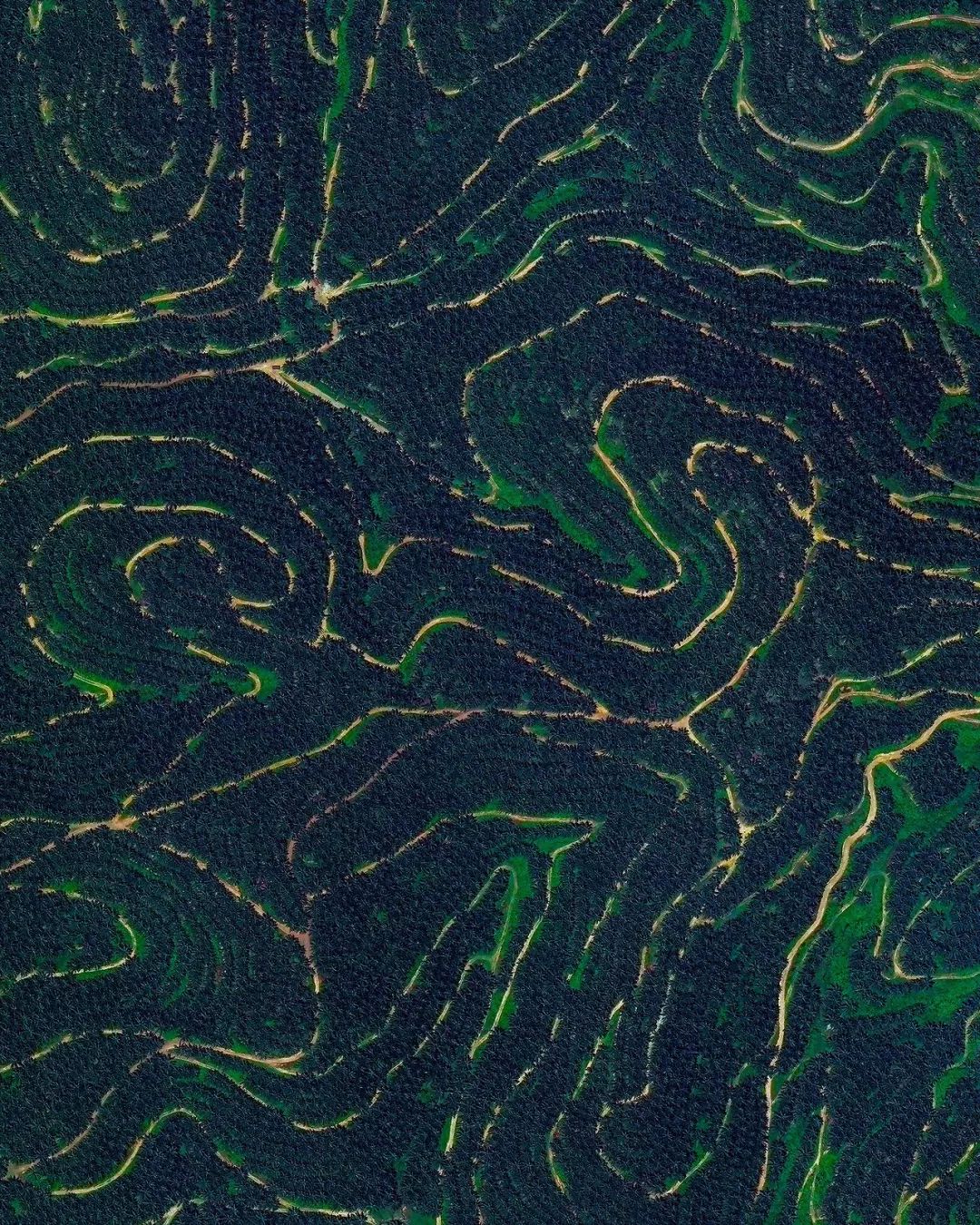 从太空看地球的一年四季真实面貌,上帝视角俯瞰我们的地球是怎样的