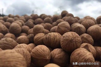 扶贫核桃加工,扶贫核桃油