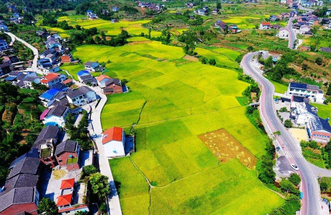 中国农业发展最好的城市,农业20强城市