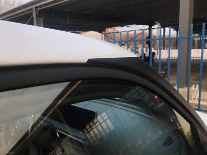 薛定谔的猫实测,欧拉白猫小野猫试驾