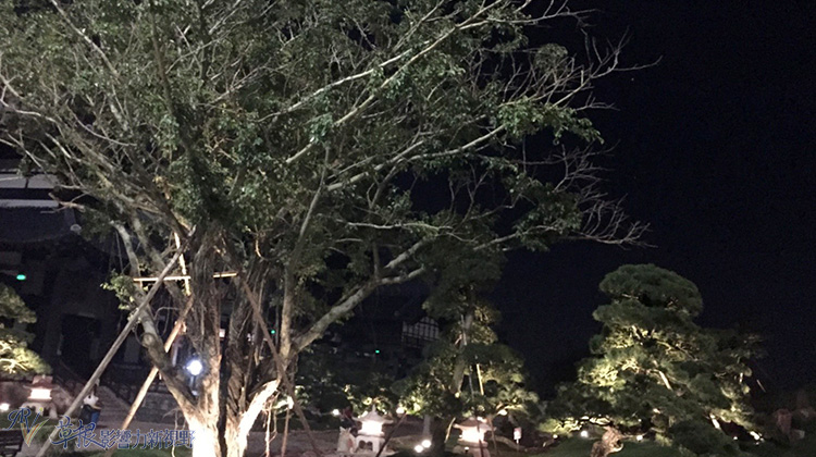 下龙湾摩天轮图片,越南下龙湾深度游