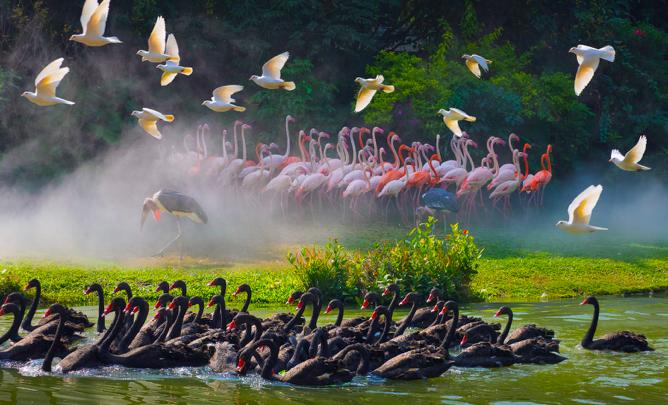 广州攻略必玩的景点2天,广州旅游必打卡的地方推荐