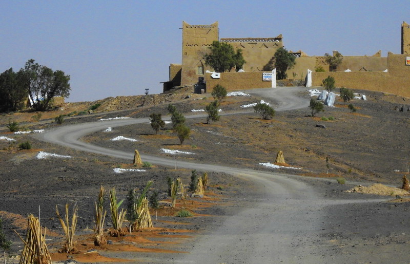 撒哈拉沙尘暴照片,撒哈拉沙漠沙尘暴实拍