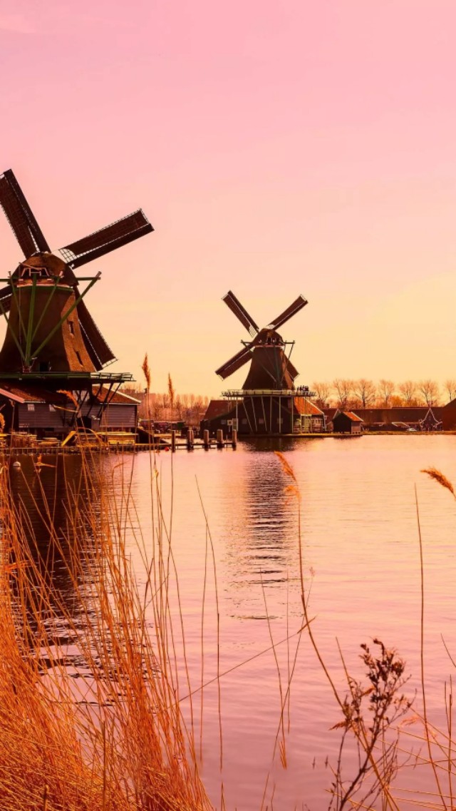 风车壁纸动态壁纸高清全屏90帧,努力赚钱吧手机壁纸图