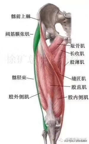 肌肉起止点,肌肉起止点松解