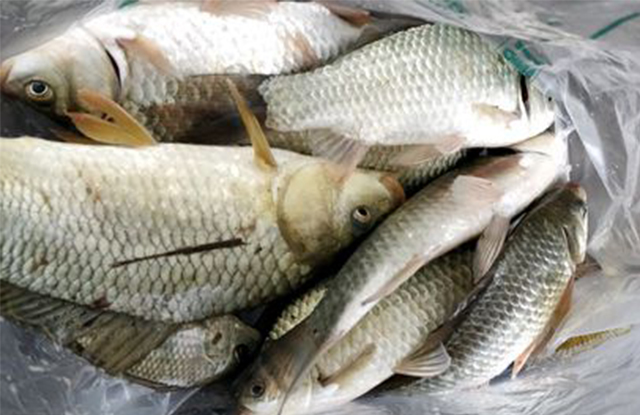 下雨钓鱼怎么防止淋湿,秋季钓鱼连续下雨如何应对