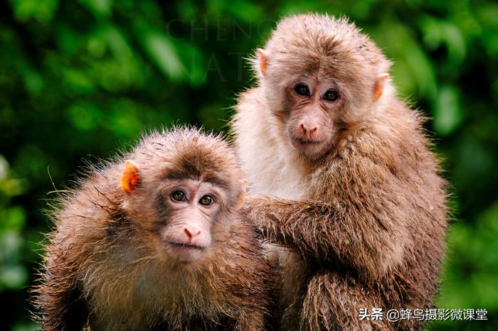 松下全画幅微单s1评测,松下s1全画幅微单拍摄视频
