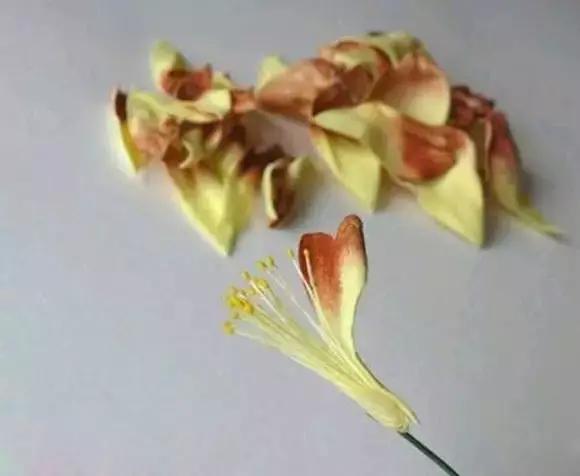 海绵纸手工制作花朵幼儿园,海绵纸创意手工幼儿园动物