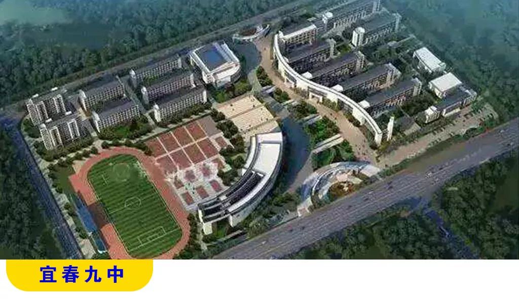 宜春天立学校美术特长生,2021江西宜春中考体育特长生标准