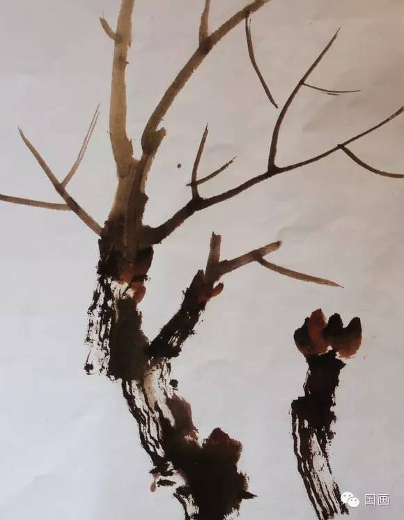 张克申写意牡丹画法教程,邵丹写意牡丹各阶段画法