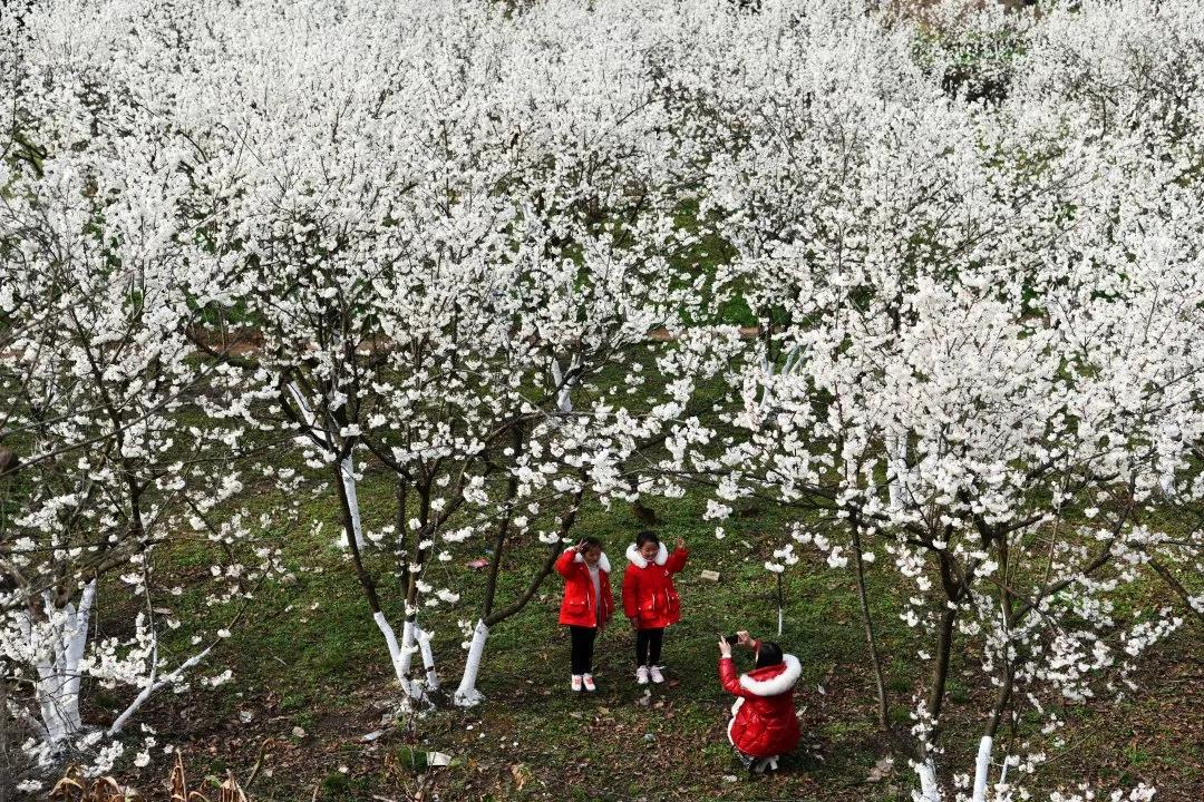 彪炳史册历史性成就,脱贫攻坚的伟大成就