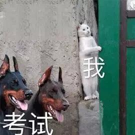 上海gmat考试技巧,gmat上海南考点