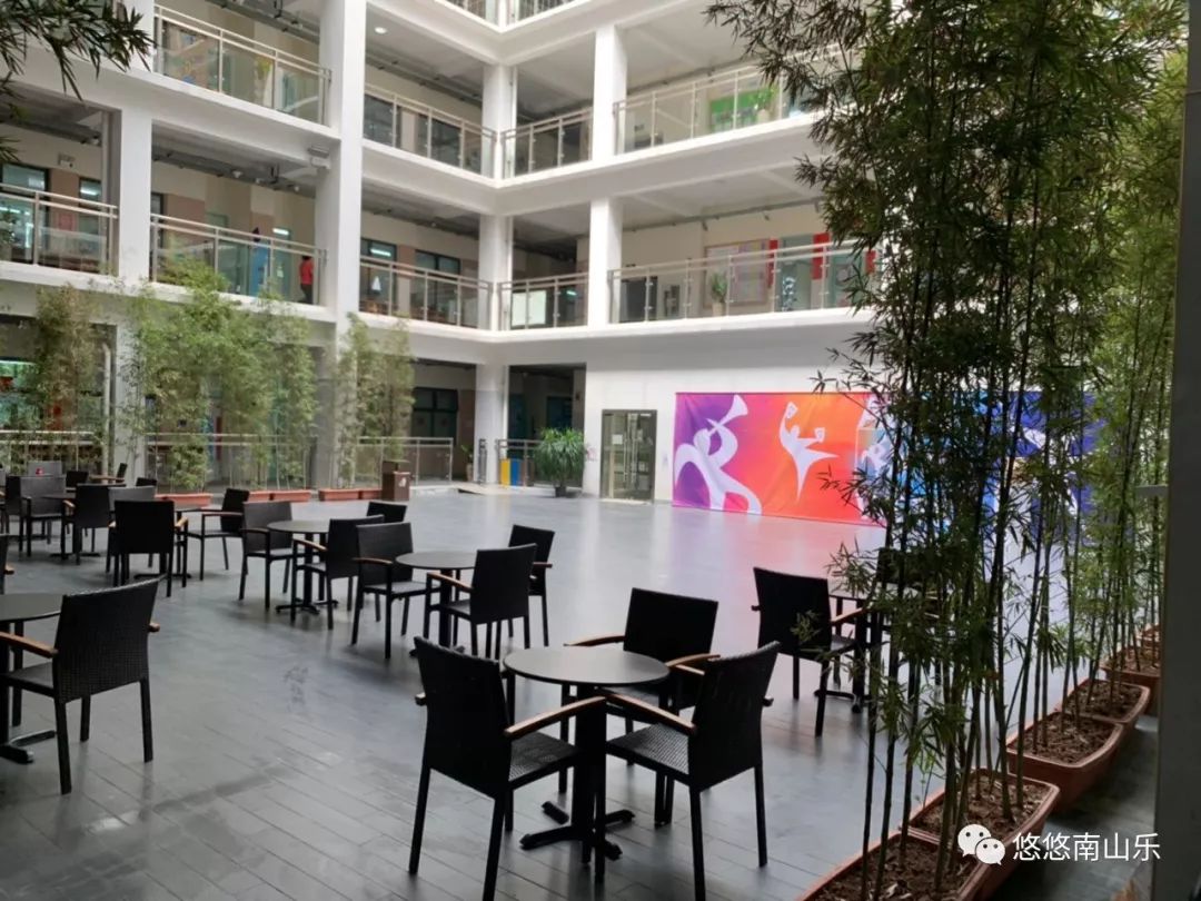 爱选课丨深圳国际学校择校系列之南山国际学校探校记