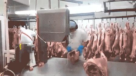 什么职业最容易受伤,容易受伤的一类人