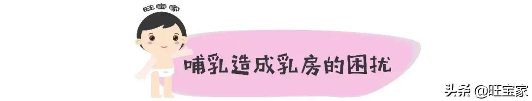 产前产后乳房变化,怀孕生子如何预防胸部变形