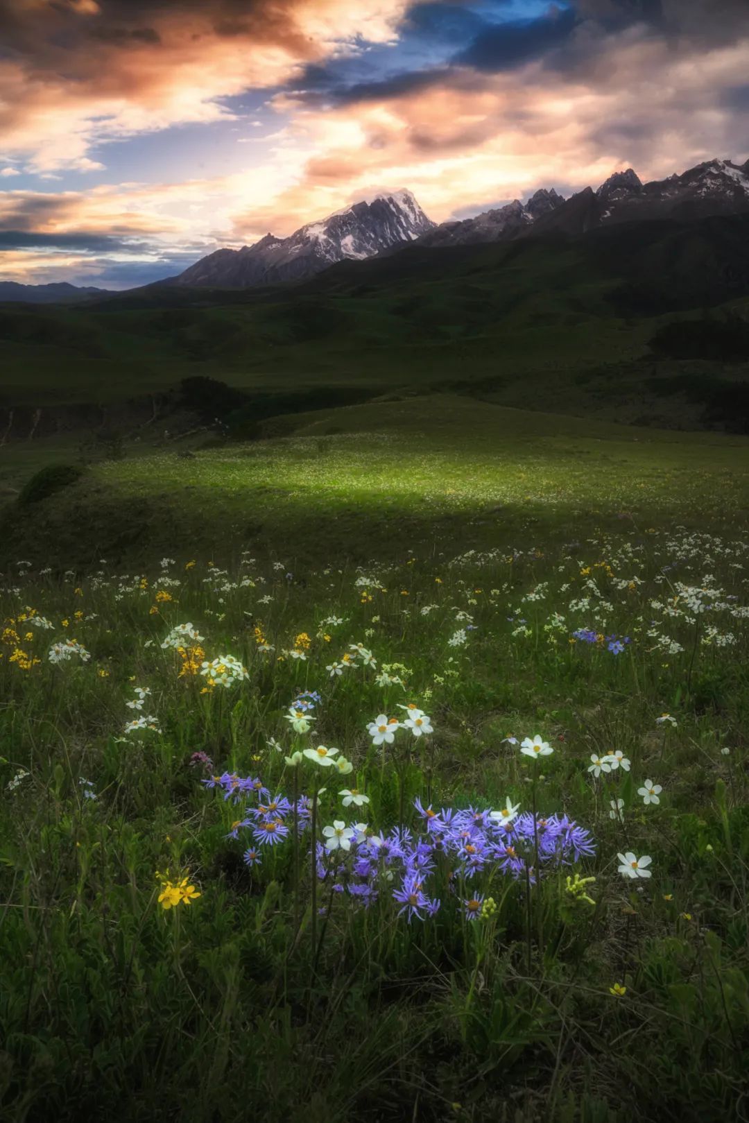 丁真和四川什么关系,丁真背后是谁