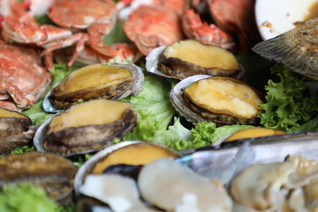 看见美好之境,长岛看见美好之境