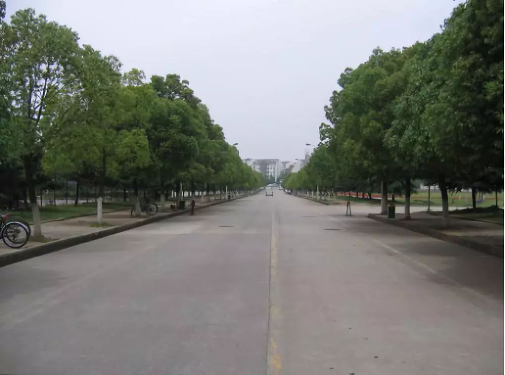 武汉市最厉害的中学,武汉最强的中学校