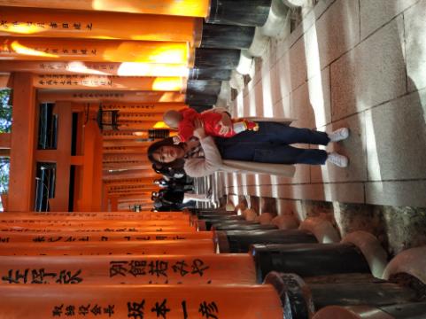 3月底日本关西8日游攻略,日本关西旅游攻略七日游