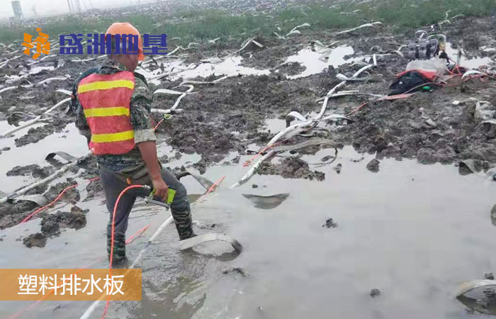 中国土地类型的构造特点,沿海软土地基的特征