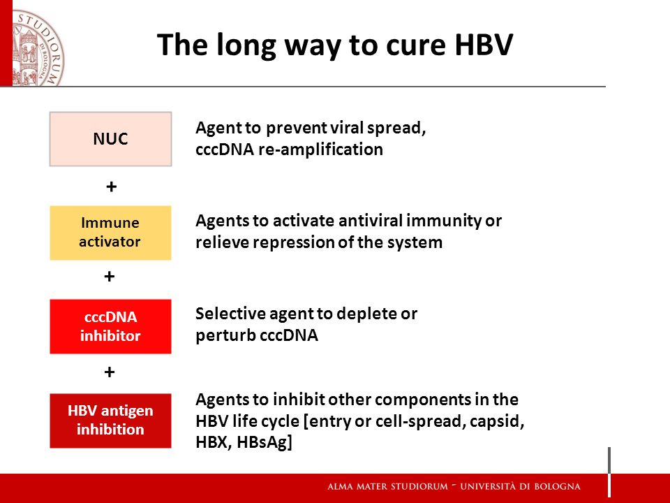 第一次抗病毒吃恩替还是替诺,乙肝抗病毒几块钱的恩替有效吗