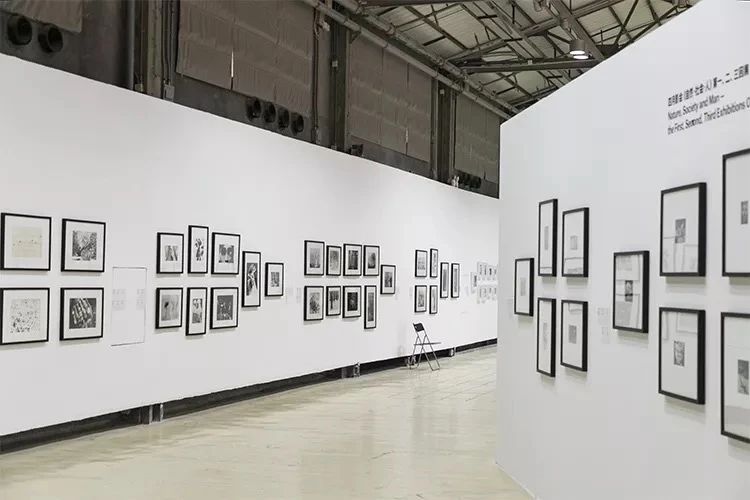 深圳龙华适合小孩子玩的免费景点,深圳适合一日游好玩的地方推荐