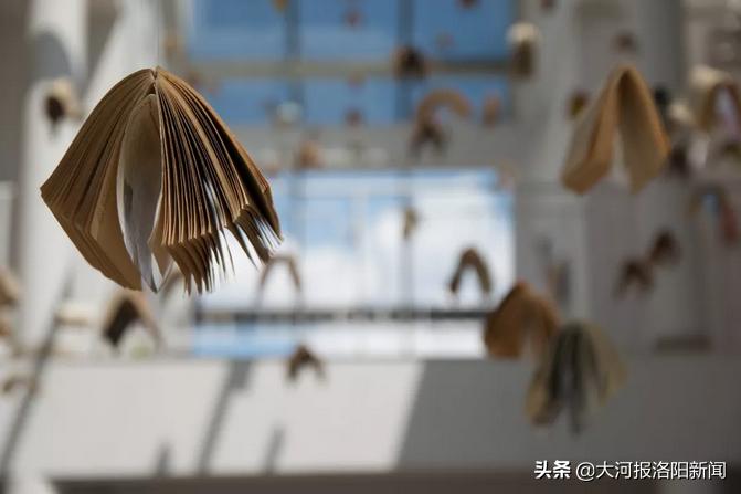 原创青春随笔,青青随笔日常