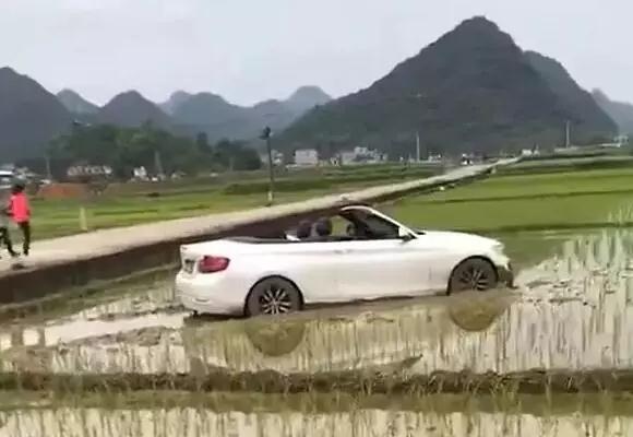 隆安一宝马敞篷车竟跑到田里图片,隆安一宝马敞篷车竟跑到田里