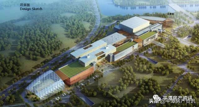 数说楼市广州,平潭金井湾哪个房子质量好