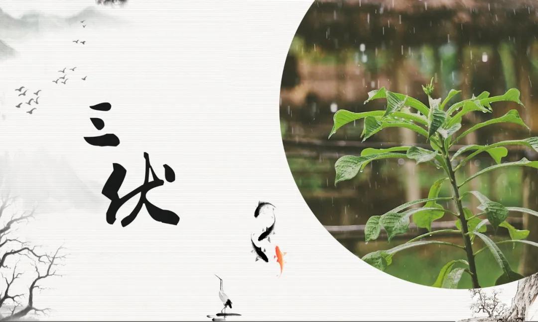 冬病夏治可以调理什么疾病,冬病夏治贴哪些穴位