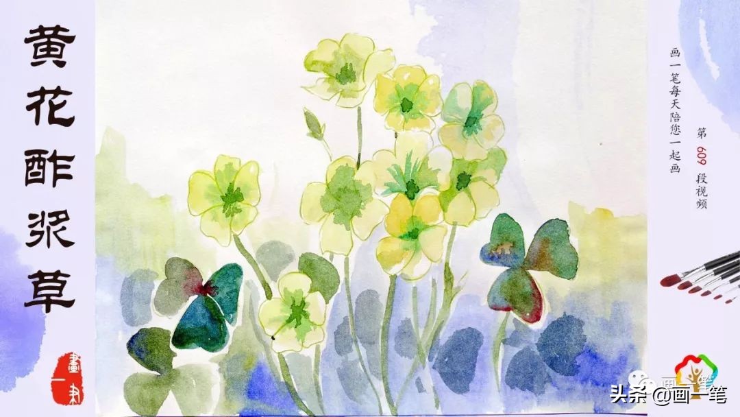 红心石楠图片怎么画,石楠树图片简笔画