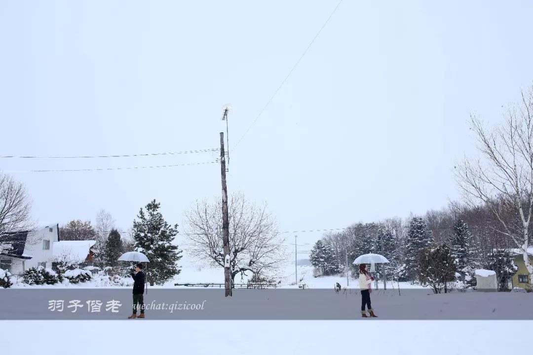 老实说，这一趟北海道就是为了拍好看的照片去的