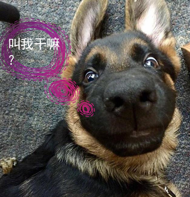 化妆品含有酒精、香精、防腐剂真的不好吗?其实你错了