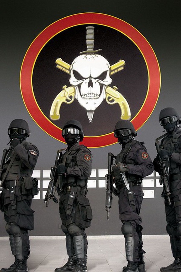 特种作战力量排行,世界战斗力最强的十大特种部队