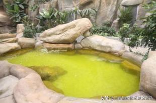 香水皇宫假日酒店——热带梦幻主题嬉水世界