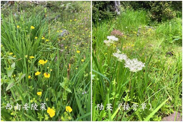 游学夏令营第一天完美收官,2023夏令营游学十大排名